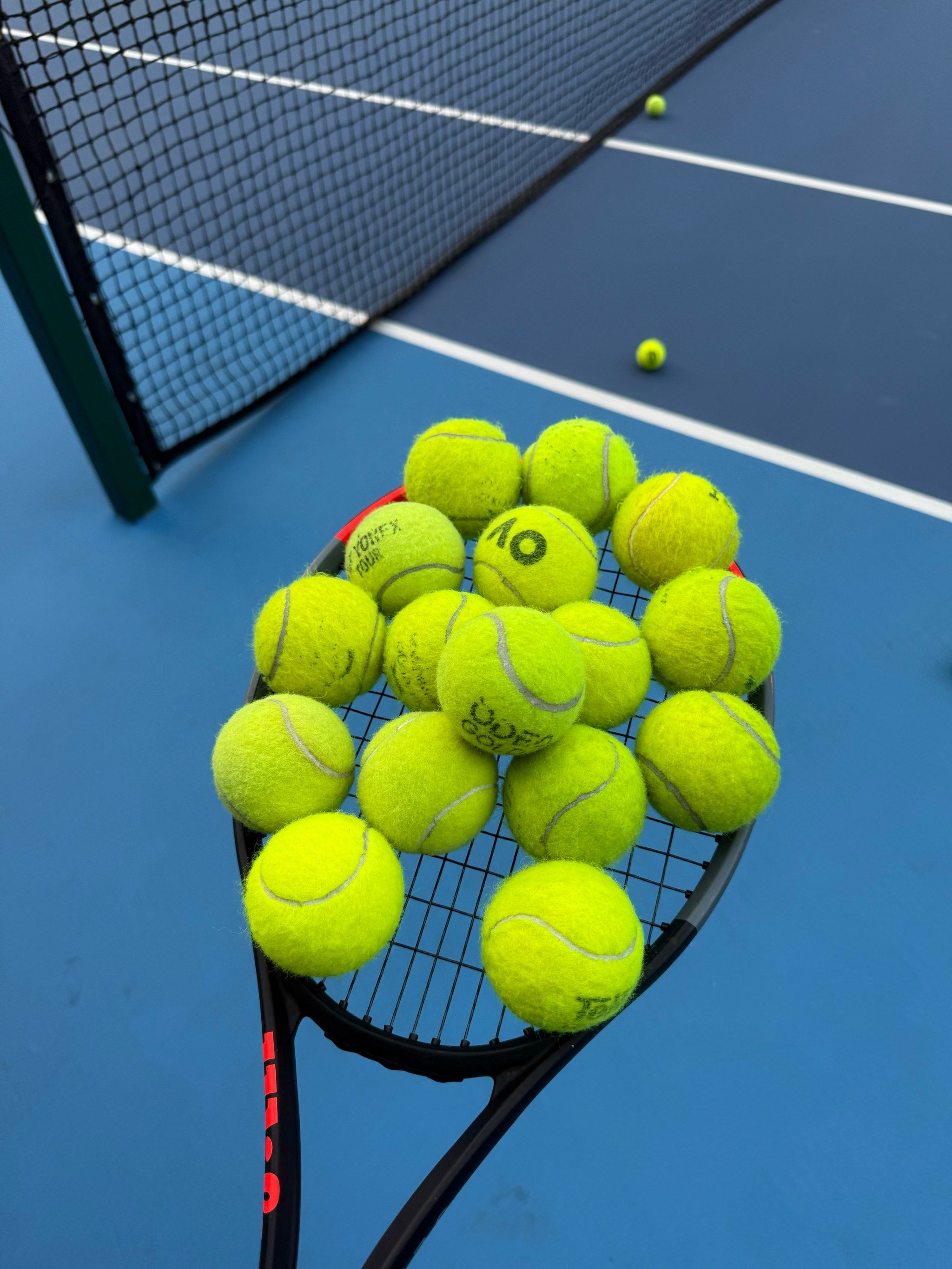 风险和不适 风险和不适